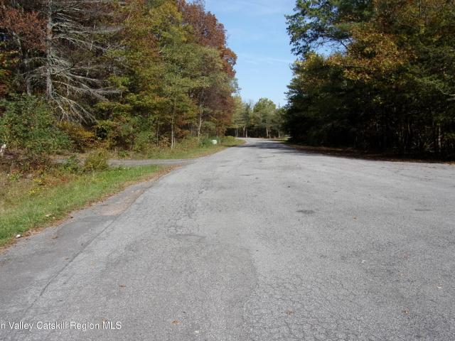 Land for sale in Acra, New York