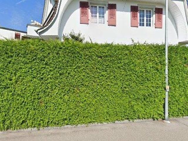 Apartment mieten in Muri bei Bern, Bern