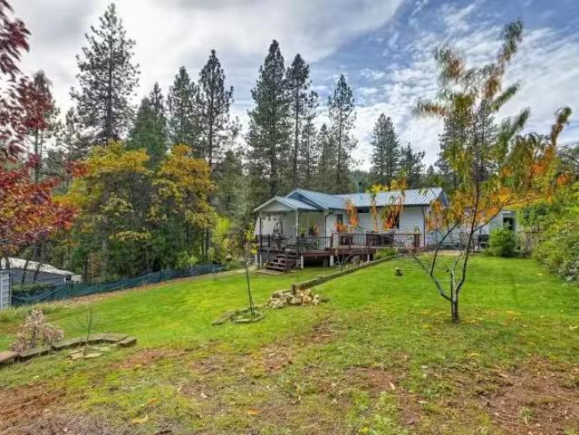 House for rent in Gold Run, California
