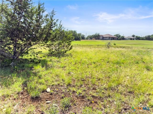 Land for sale in Blanco, Blanco County
