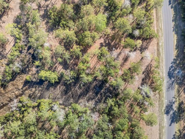 Land for sale in Vandemere, North Carolina
