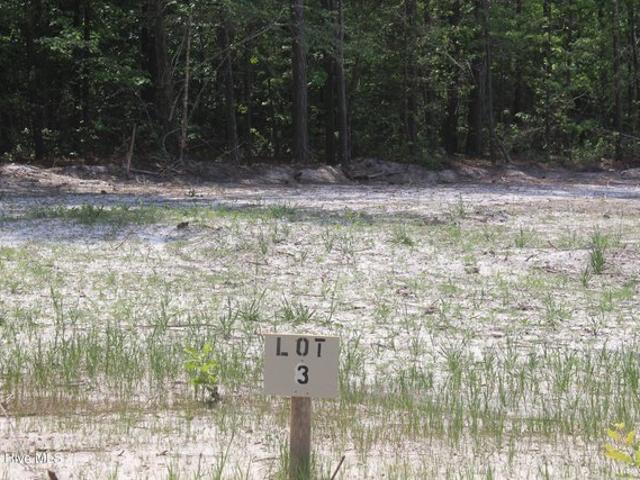 Land for sale in Magnolia, North Carolina