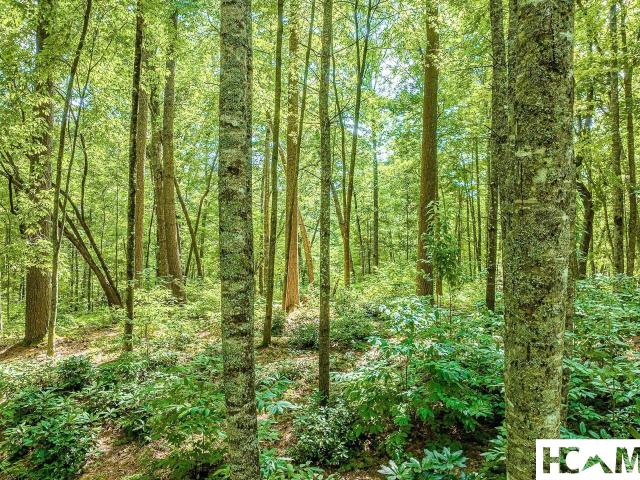 Land for sale in Cullowhee, North Carolina