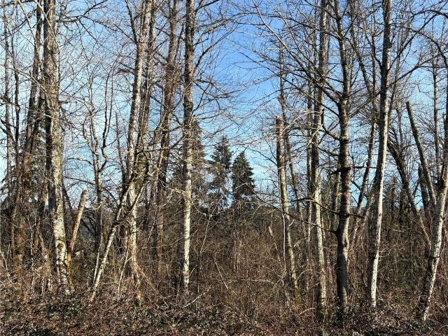 Land for sale in Mossyrock, Washington