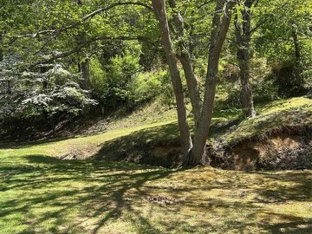 Land for sale in Old Fort, North Carolina