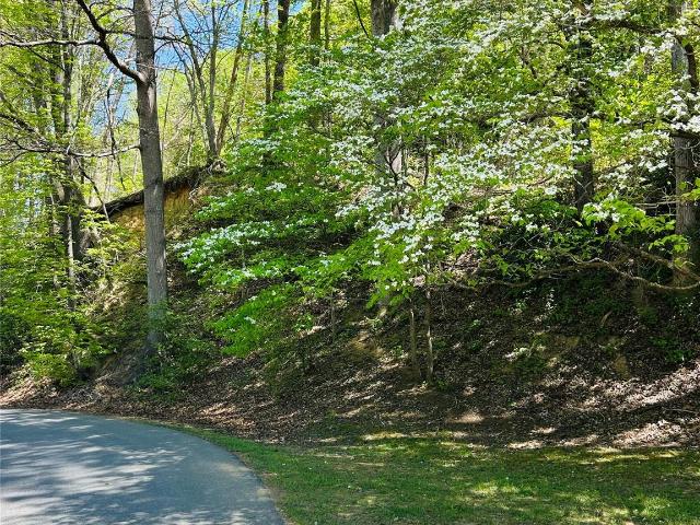 Land for sale in Old Fort, North Carolina