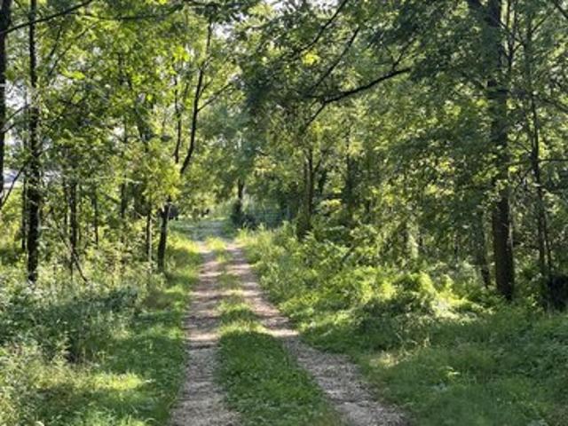Land for sale in Galesburg, Michigan