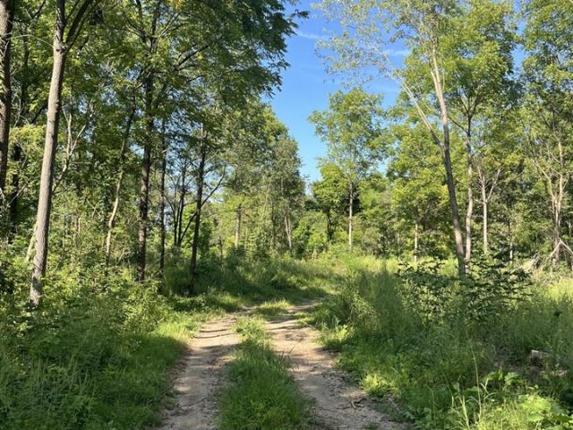 Land for sale in Galesburg, Michigan