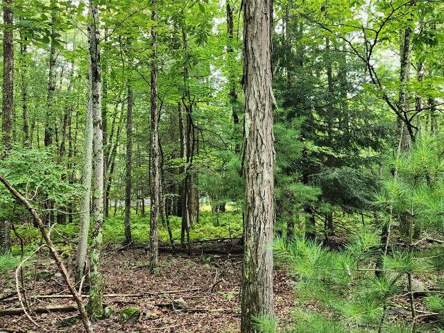 Land for sale in New York