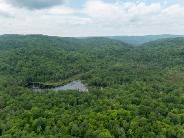 Land for sale in Laurentides, Quebec