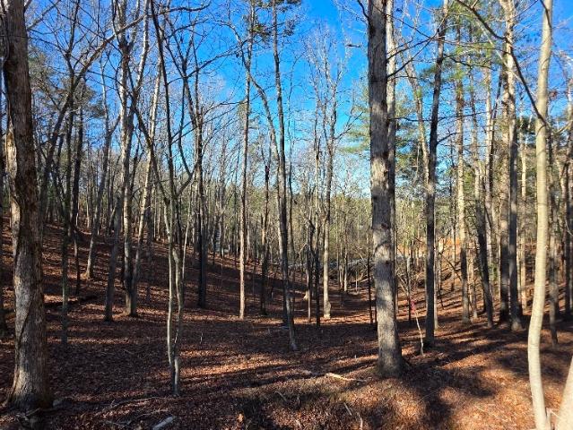Land for sale in Gilmer, Georgia