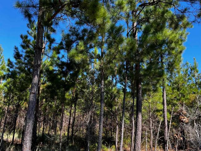 House for sale in Scranton, South Carolina