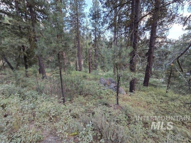 Land for sale in Cascade, Idaho