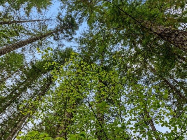 Land for sale in Hoodsport, Washington