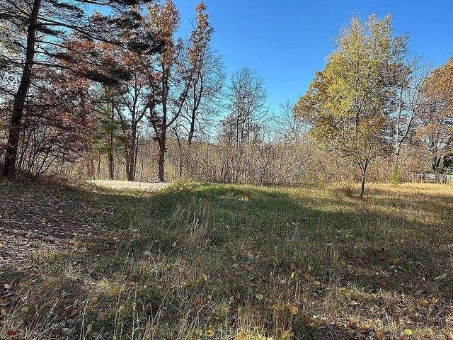 Land for sale in Cedar Springs, Michigan