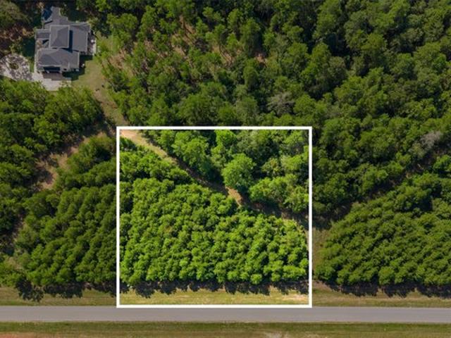 Land for sale in Willis, Texas
