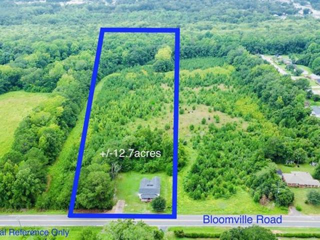 Land for sale in Manning, South Carolina