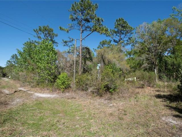 Land for sale in New Port Richey, Florida