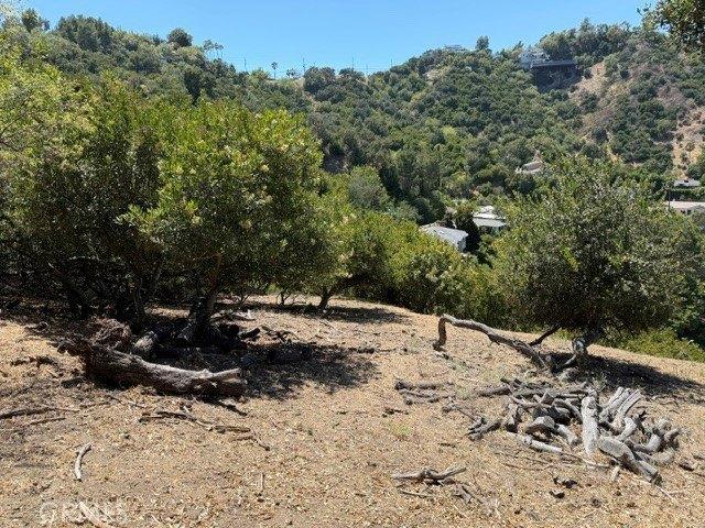 Land for sale in Sherman Oaks Neighborhood Council District, Canoga Park