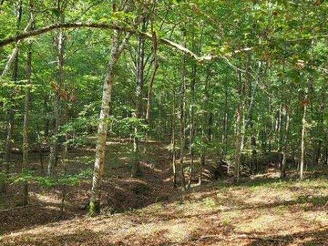 Land for sale in San Augustine, Texas