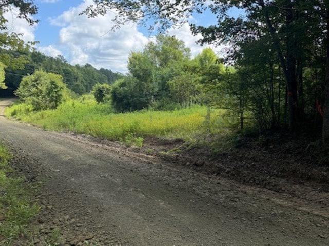 Land for sale in Newton, Texas