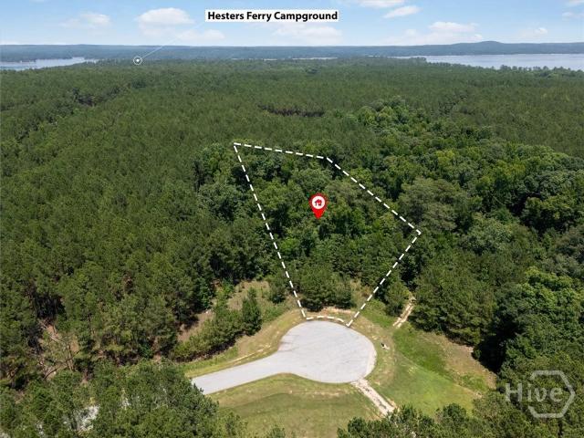 Land for sale in Tignall, Georgia