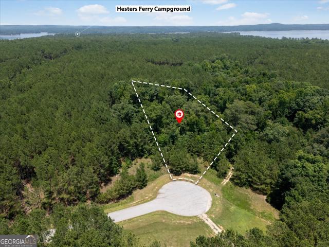 Land for sale in Tignall, Georgia