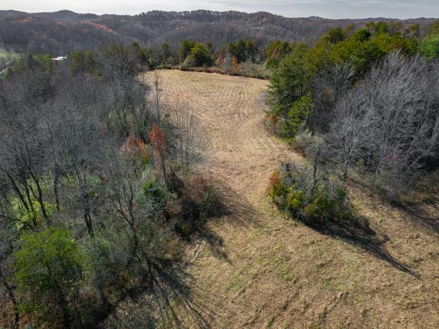 Land for sale in West Liberty, Kentucky