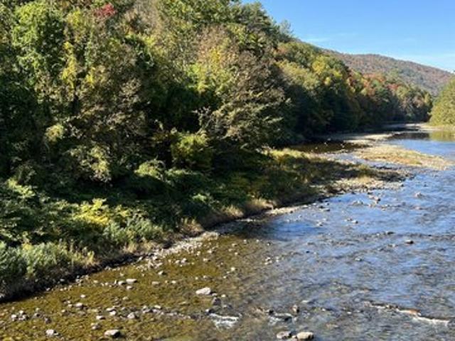 Land for sale in Jamaica, Vermont
