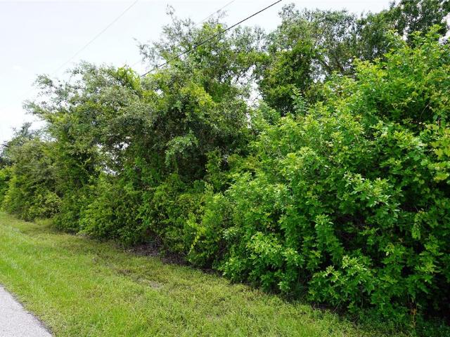 Land for sale in Port Charlotte, Florida