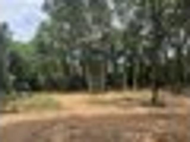 Land for sale in Patriot, Indiana