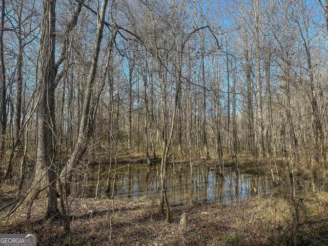 Land for sale in Fort Gaines, Georgia