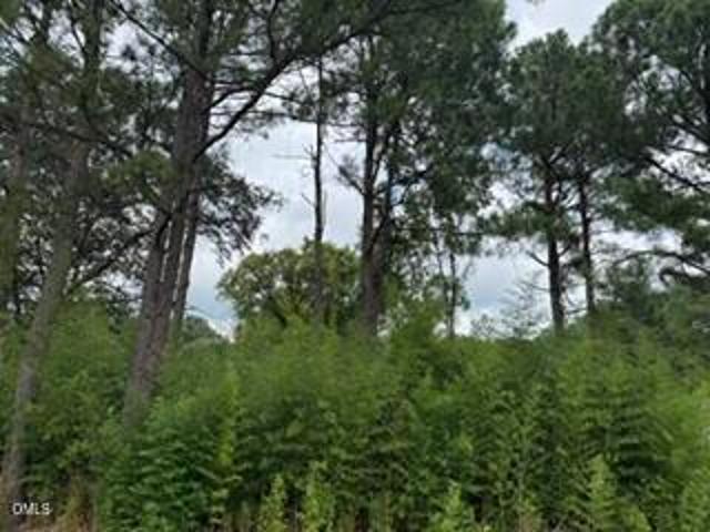 Land for sale in Bunnlevel, North Carolina