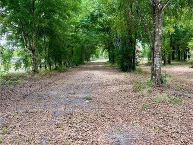 Land for sale in Wauchula, Florida