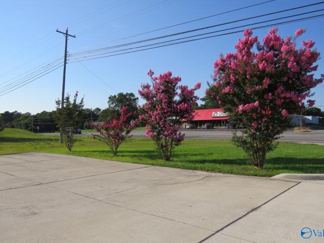 Commercial for sale in Guntersville