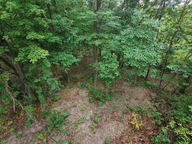 Land for sale in Gowen, Michigan