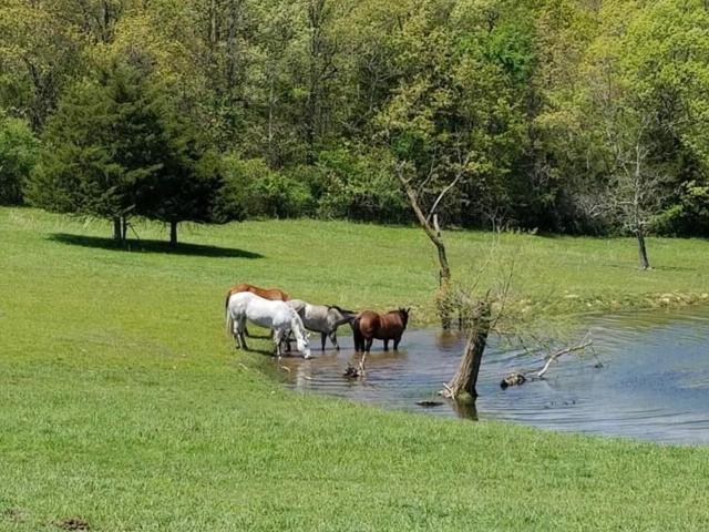 Farm for sale in Cabool, Texas County