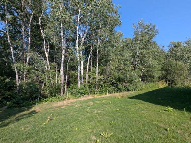 House for sale in Zimmerman, Minnesota