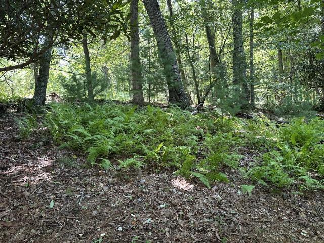 Land for sale in Virginia