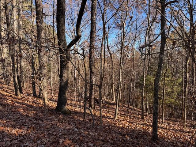 Land for sale in Gordon, Georgia