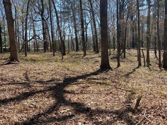 Land for sale in Many, Louisiana