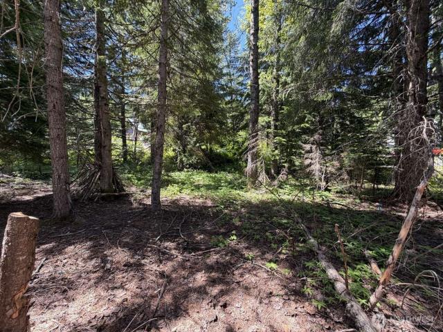 Land for sale in Washington