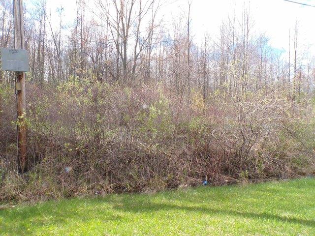 Land for sale in Massena, New York