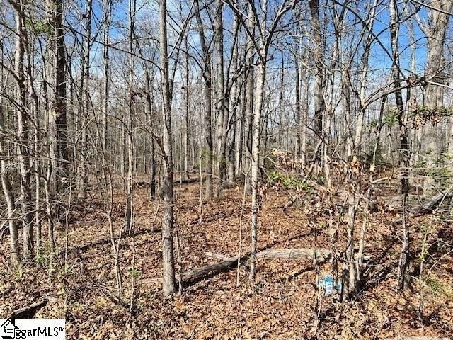 Land for sale in Pelzer, South Carolina