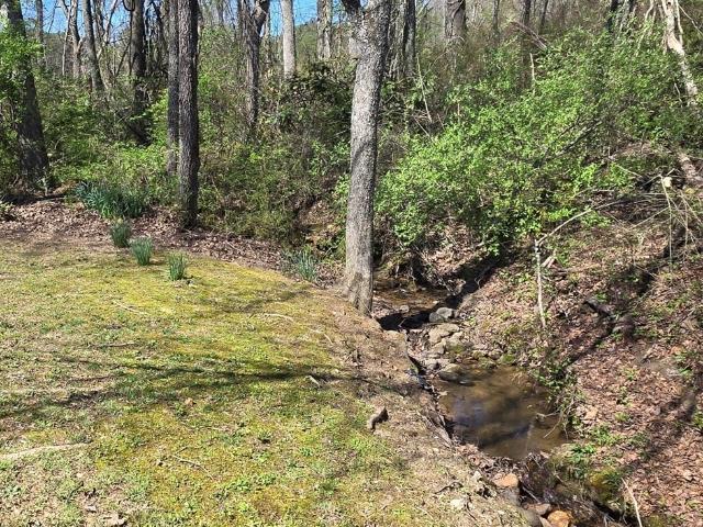 Property for rent in Blairsville, Georgia