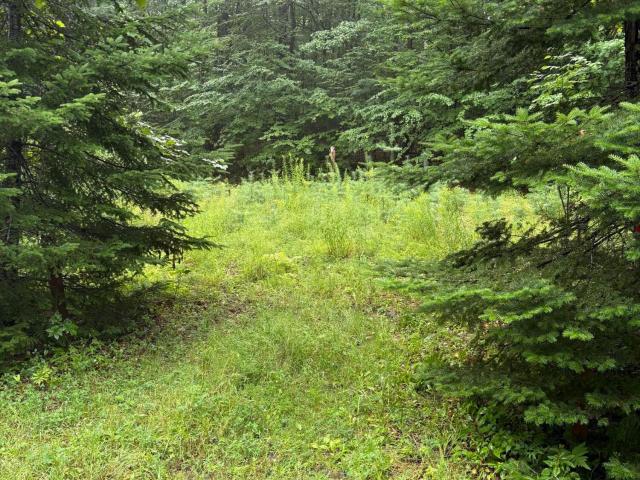 Land for sale in Athol, New York