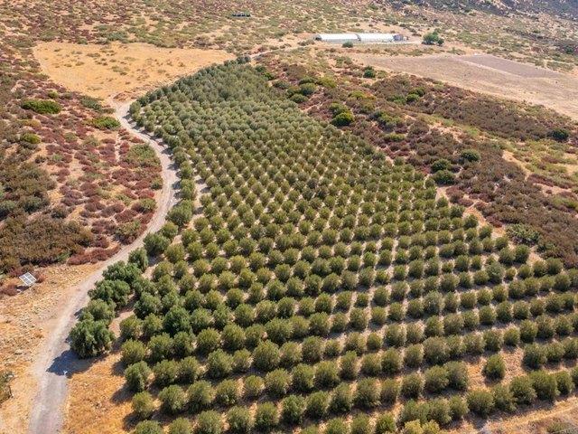 Land for sale in Warner Springs, California