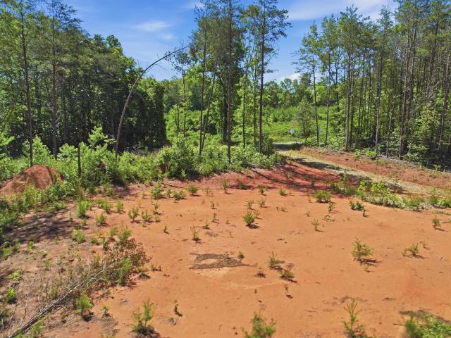 Land for sale in Landrum, South Carolina
