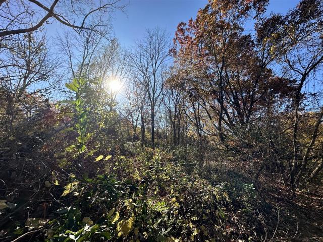 Land for sale in Ypsilanti