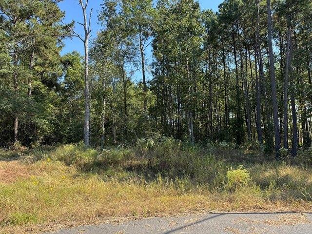 Land for sale in Lufkin, Texas